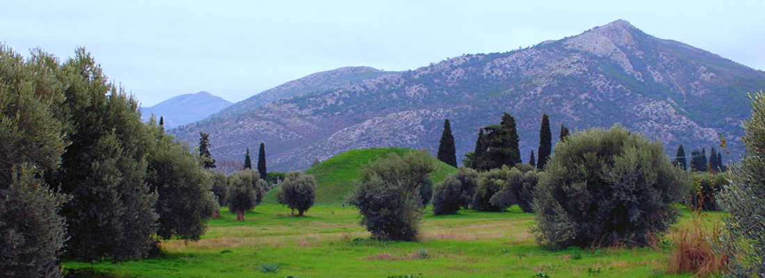 marathonwalkingBANNER